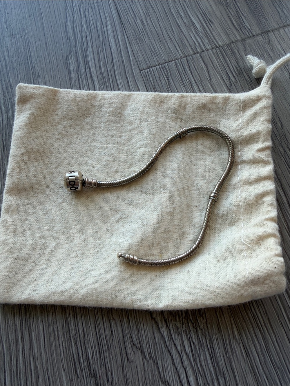 Pandora Sterling Silver Tone Snake Chain Bracelet